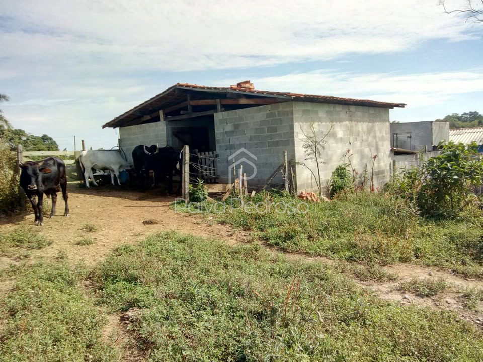 20260127-IMG-20260127-WA0049