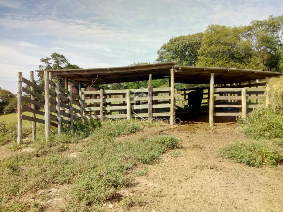 20260127-IMG-20260127-WA0051