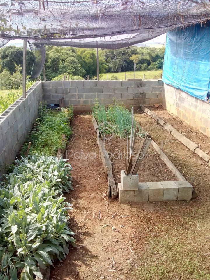 20260127-IMG-20260127-WA0052