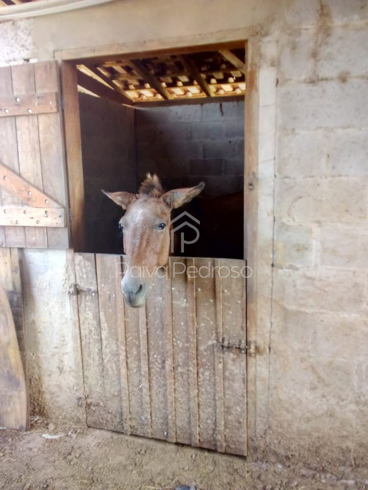 20260127-IMG-20260127-WA0062