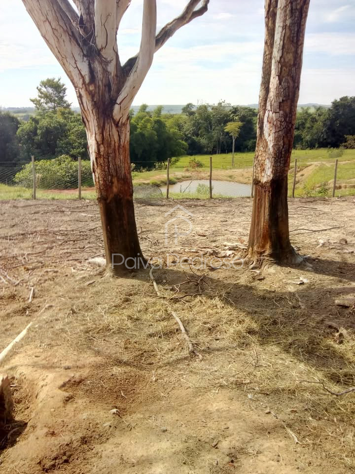 20260127-IMG-20260127-WA0065