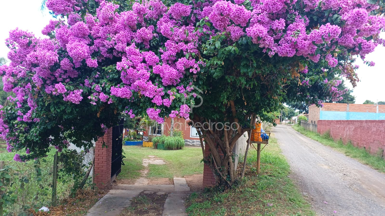 20260127-IMG-20260127-WA0066