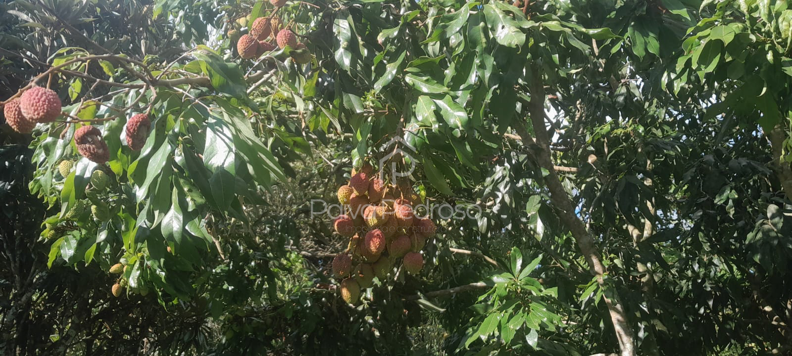 20260127-IMG-20260127-WA0088