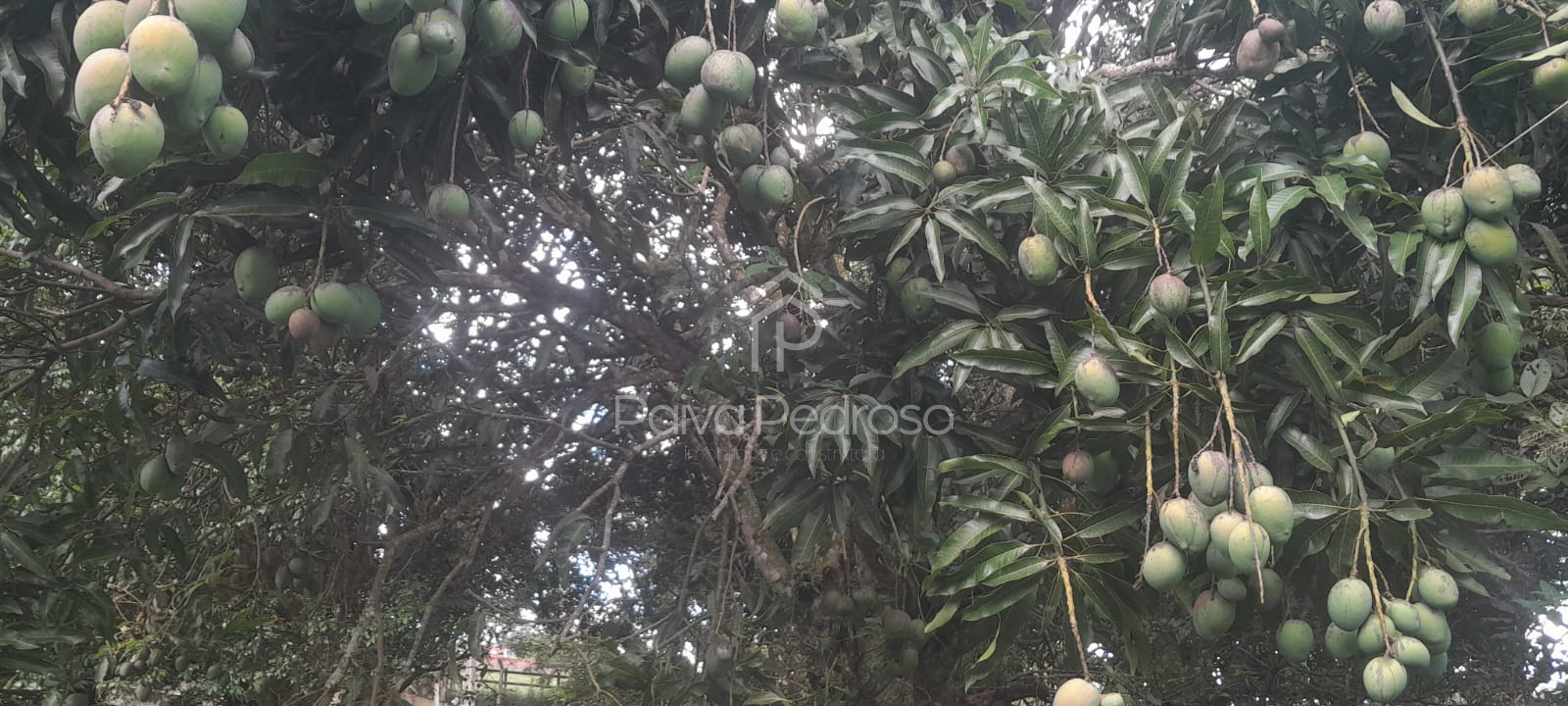 20260127-IMG-20260127-WA0089