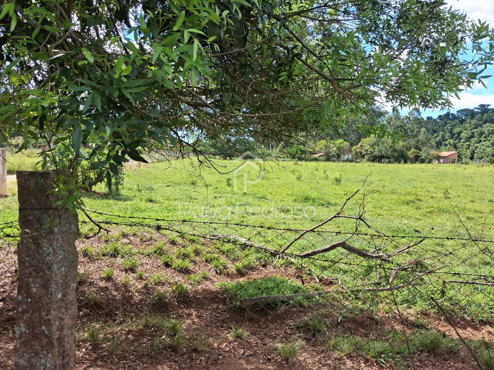 20260127-IMG-20260127-WA0092