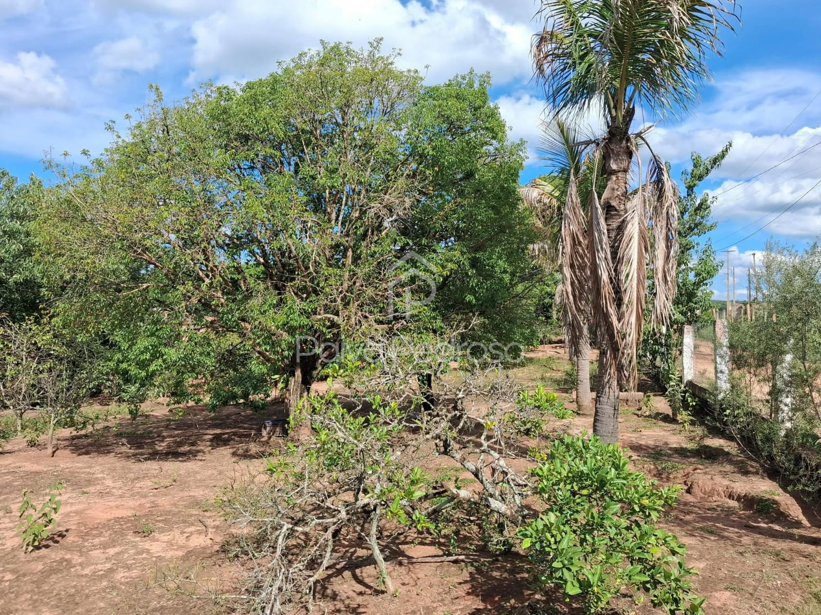 20260127-IMG-20260127-WA0094