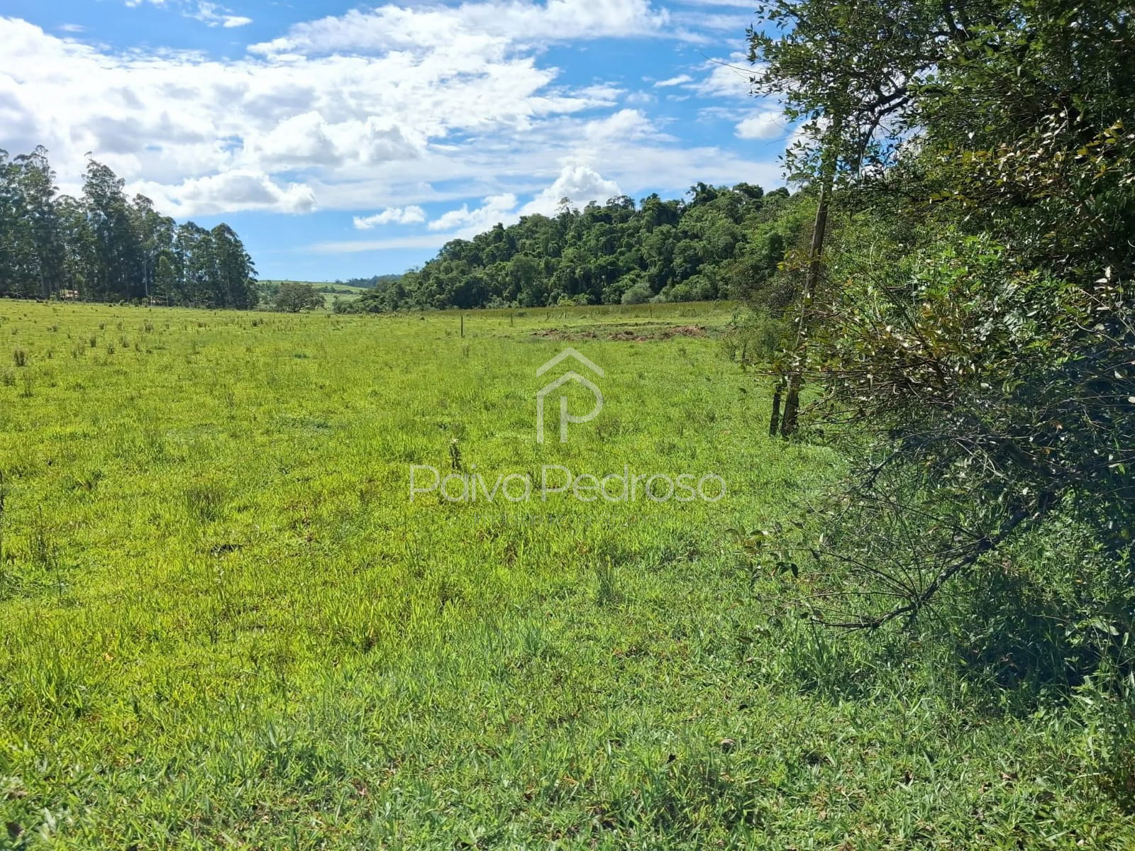 20260127-IMG-20260127-WA0096