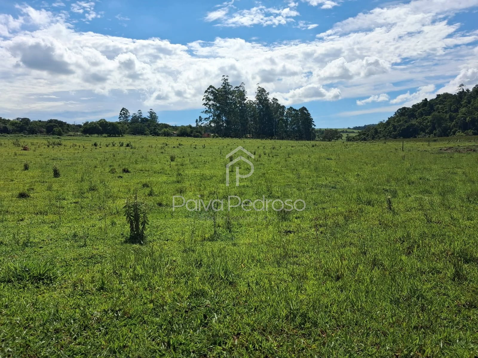 20260127-IMG-20260127-WA0097