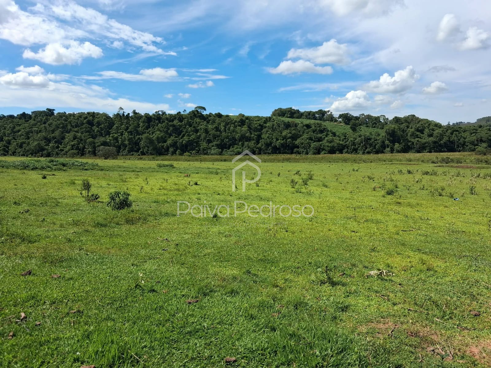 20260127-IMG-20260127-WA0099