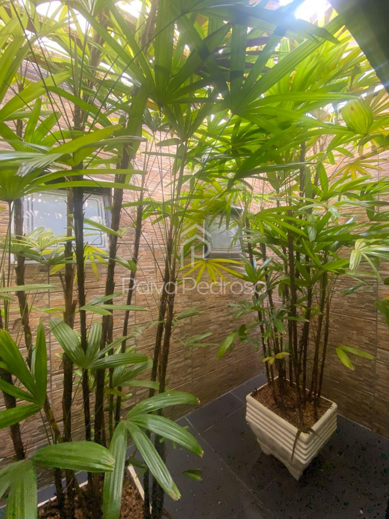 IMG-20260720-WA0183